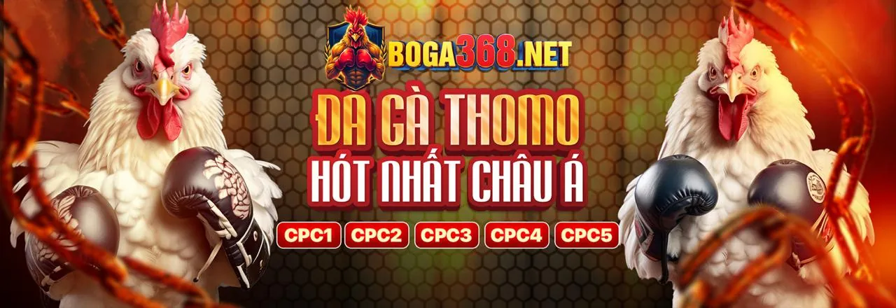 Nextbet Đăng Nhập An Toàn