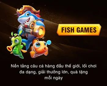 Câu hỏi thường gặp về tài khoản Nextbet