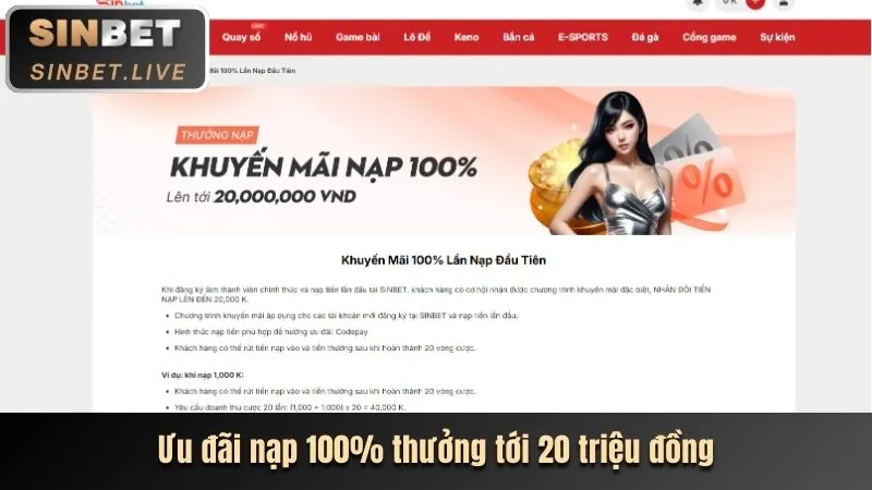 Đa dạng các loại trò chơi máy đánh bạc tại Nextbet